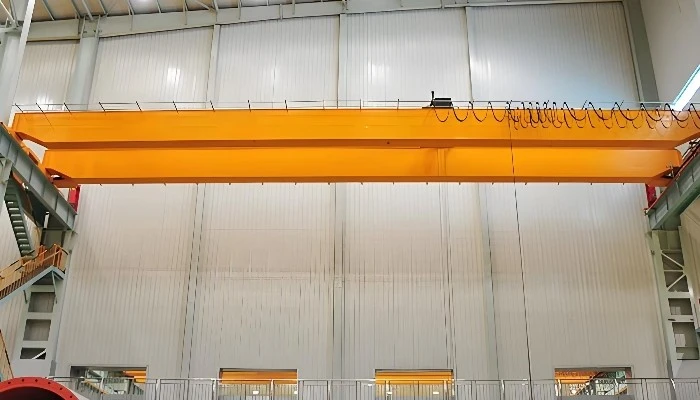 double girder bridge crane with hoist-2